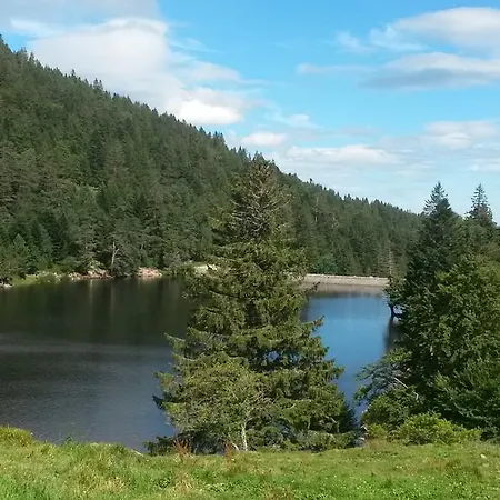 Chalet Du Feignole Gerbepal
