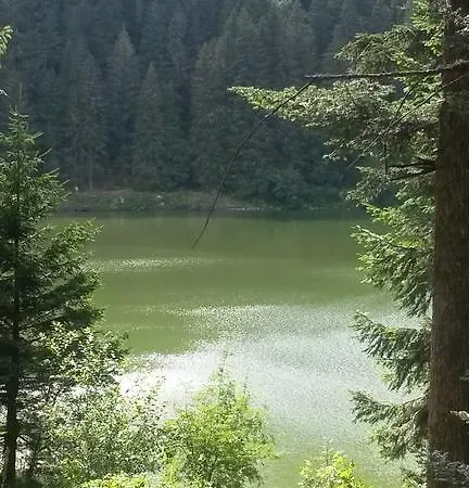 Chalet Du Feignole * Gerbepal
