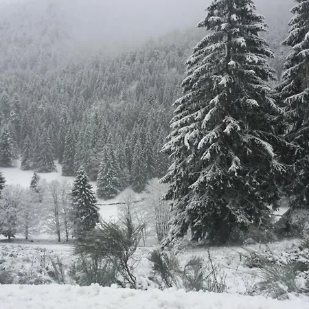 Chalet Chalet Du Feignole Gerbepal