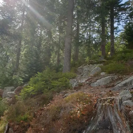 Chalet Du Feignole Gerbepal